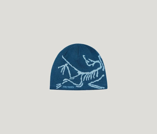 Nightscape / Glacial Arc'teryx Bird Head Toque Arc'teryx Bird Head Toque Arcteryx