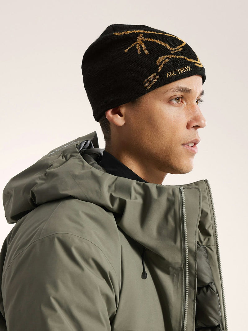Load image into Gallery viewer, Arc'teryx Bird Head Toque Arc'teryx Bird Head Toque Arcteryx