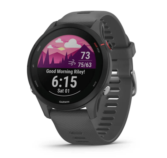 Slate Gray Garmin Forerunner 255 Watch Garmin