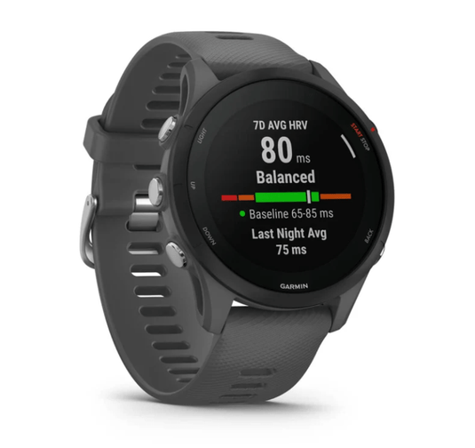 Slate Gray Garmin Forerunner 255 Watch Garmin