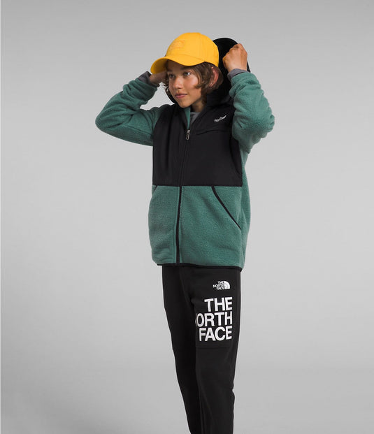 The North Face Forrest Fleece Full Zip Hoodie - Boys' The North Face