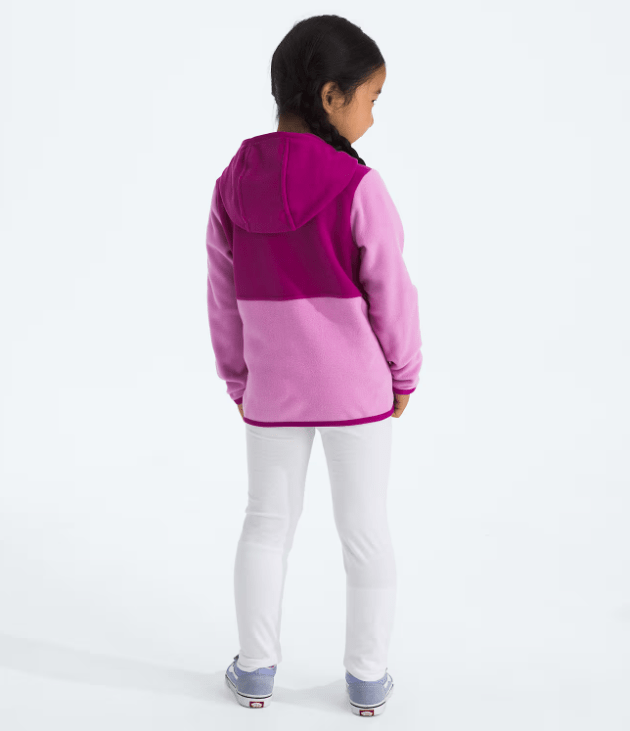 Load image into Gallery viewer, The North Face Glacier Full Zip Hoodie - Kids' The North Face