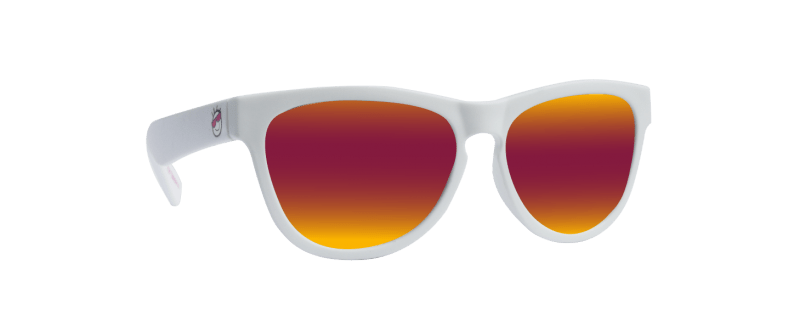 Minishades 2024 polarized sunglasses