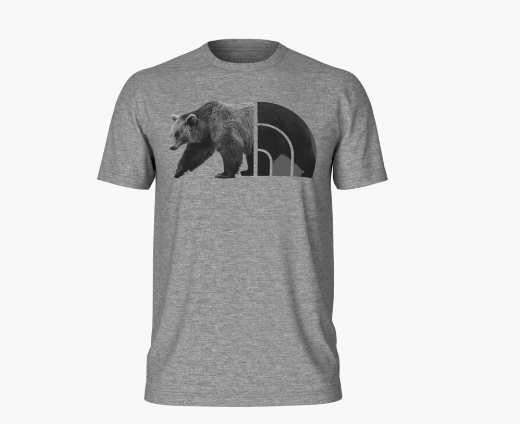 Load image into Gallery viewer, TNF Medium Grey Heather / MED The North Face Shortsleeve Tri Blend Bear Tee - Men&#39;s The North Face
