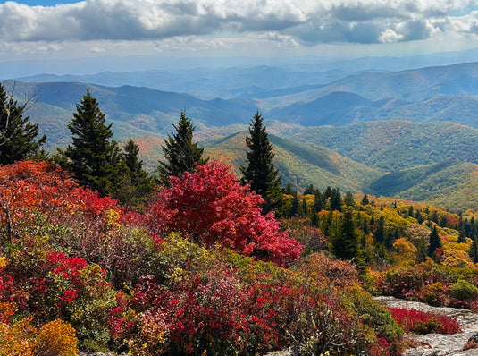 A Colorful Adventure to the East - The Blue Ridge Parkway