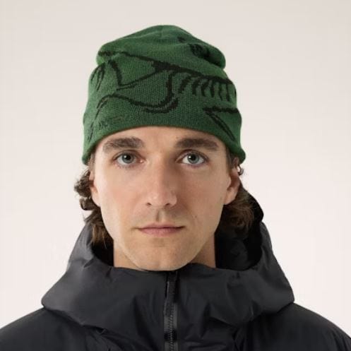 Load image into Gallery viewer, Eden / Black Arc&#39;teryx Bird Head Toque Arcteryx
