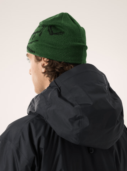 Load image into Gallery viewer, Eden / Black Arc&#39;teryx Bird Head Toque Arc&#39;teryx Bird Head Toque Arcteryx
