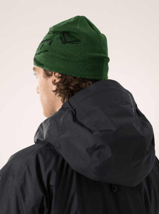 Eden / Black Arc'teryx Bird Head Toque Arc'teryx Bird Head Toque Arcteryx