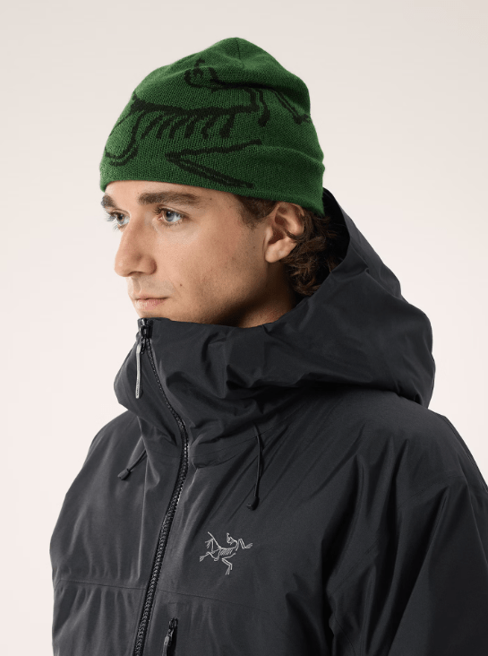 Load image into Gallery viewer, Eden / Black Arc&#39;teryx Bird Head Toque Arc&#39;teryx Bird Head Toque Arcteryx
