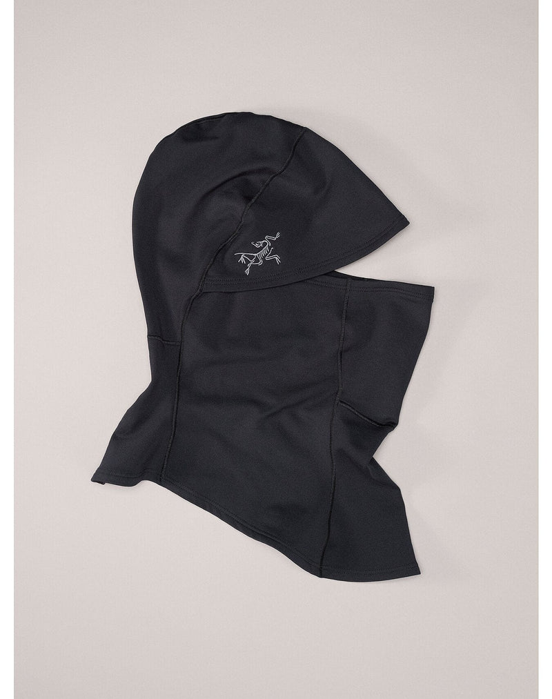 Load image into Gallery viewer, Black / LRG/XL Arc&#39;teryx Rho Balaclava Arcteryx
