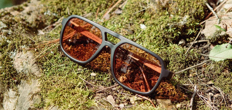 Load image into Gallery viewer, Basic Polarized Amber CAMP Eyewear Glacier - Smokey Bear Edition - Matte Black | Walnut CAMP Eyewear
