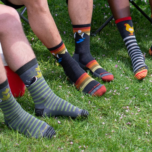 Charcoal / LRG Darn Tough Sunset Ridge Micro Crew Lightweight Hiking Sock - Men's Darn Tough