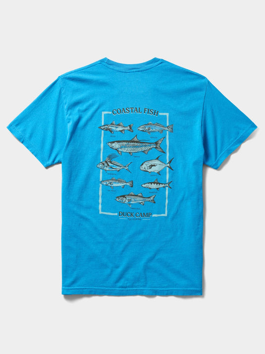 Vintage Royal / SM Duck Camp Men's Fish Of The Coast Graphic Tee in Vintage Royal Duck Camp Men's Fish Of The Coast Graphic Tee in Vintage Royal Duck Camp