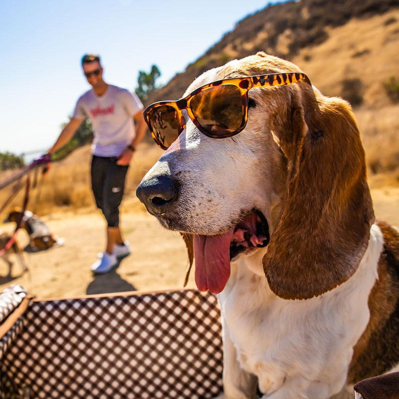 Load image into Gallery viewer, Tortoise Goodr &quot;Bosley&#39;s Basset Hound Dreams&quot; Polarized Sunglasses Bosleys Basset Hound Dreams Goodr
