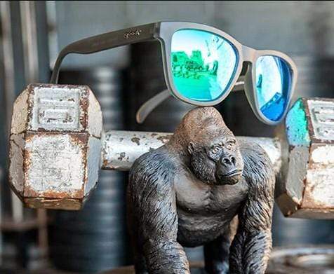 Load image into Gallery viewer, Goodr &quot;Silverback Squat Mobility&quot; Polarized Sunglasses Goodr
