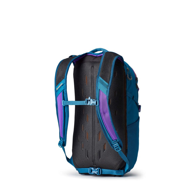 Load image into Gallery viewer, Gregory Nano 20 Backpack Gregory

