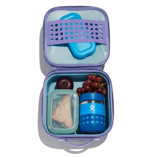 Hydro Flask Kids Insulated Lunch Box, Wisteria / Small