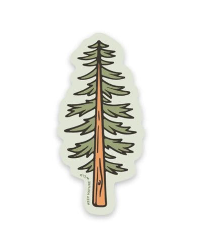 Keep Nature Wild Conifer Sticker Keep Nature Wild