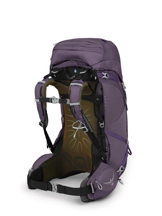 Load image into Gallery viewer, XS/SM Osprey Aura AG 50 Backpack in Enchantment Purple XS/SM - Women&#39;s OSPREY
