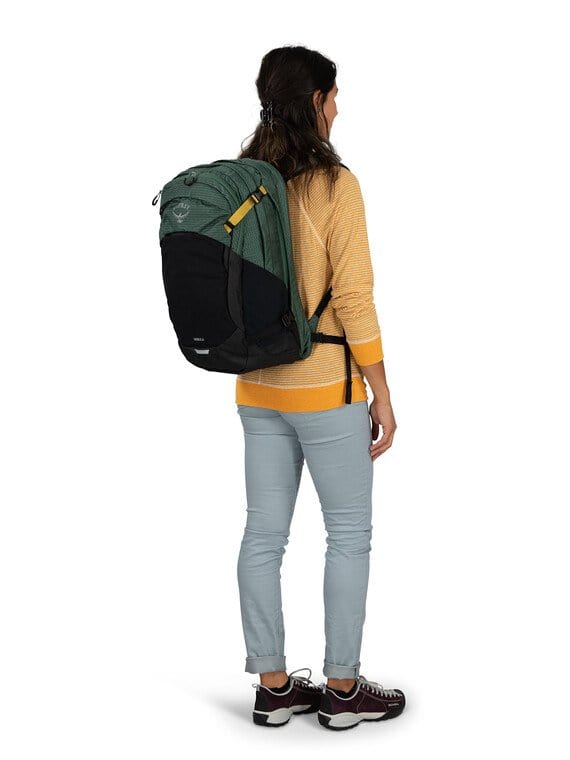 Load image into Gallery viewer, Silver Lining Tunnel Vision Pop Osprey Nebula 32 Backpack OSPREY
