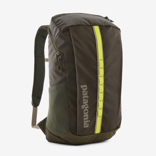 Pine Needle Green / 25L Patagonia Black Hole Pack 25L Patagonia Inc