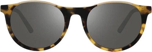 Revo Nolita Tortoise Graphite Sunglasses Revo Nolita Tortoise Graphite Sunglasses Revo