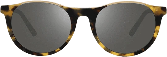 Load image into Gallery viewer, Revo Nolita Tortoise Graphite Sunglasses Revo Nolita Tortoise Graphite Sunglasses Revo

