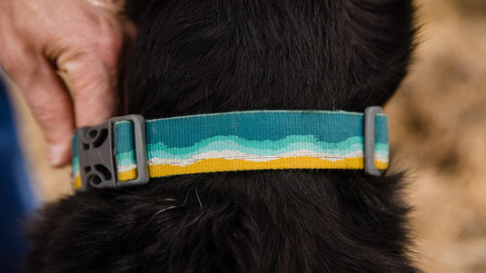 Ruffwear Crag Reflective Dog Collar Ruffwear