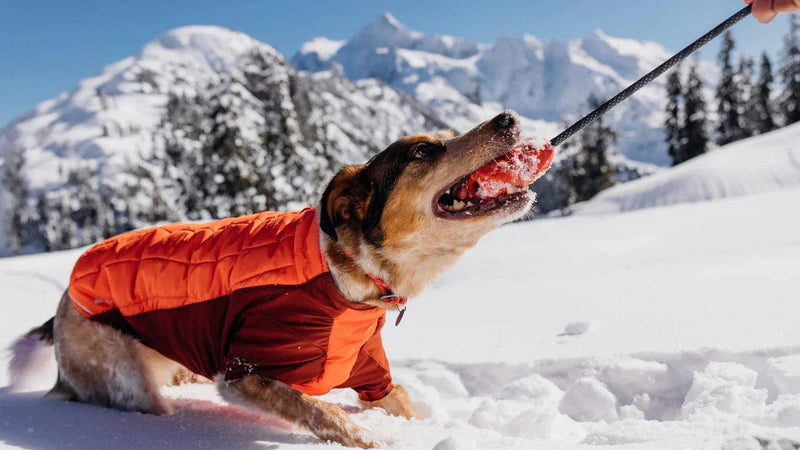 Load image into Gallery viewer, Blue Pool Ruffwear Huck-A-Cone Toy Ruffwear
