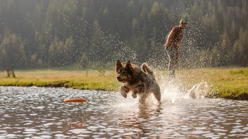 Load image into Gallery viewer, Ruffwear Hydro Plane Floating Throw Toy Ruffwear
