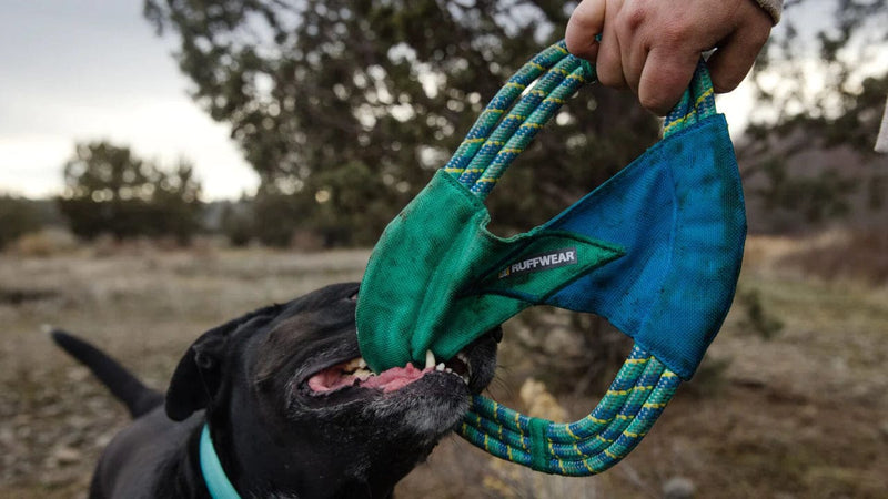 Load image into Gallery viewer, Aurora Teal Ruffwear Pacific Ring Toy Ruffwear
