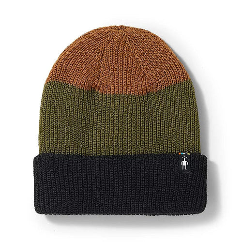 Winter Moss Smartwool Cantar Colorblock Beanie Smartwool Corp