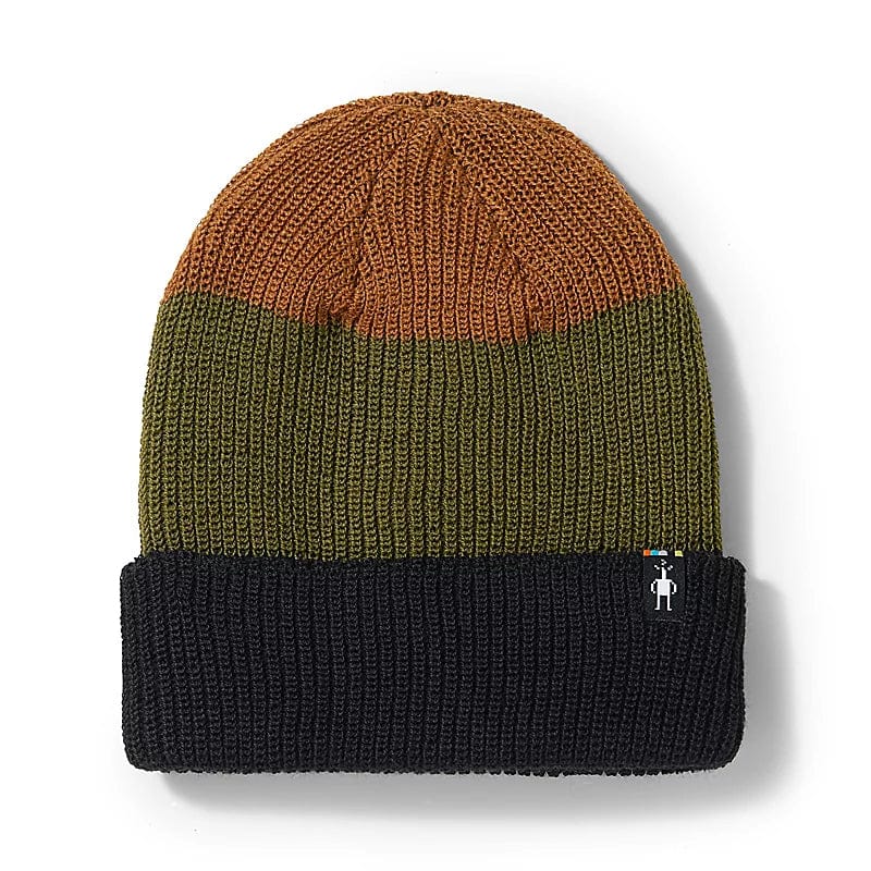 Load image into Gallery viewer, Winter Moss Smartwool Cantar Colorblock Beanie Smartwool Corp
