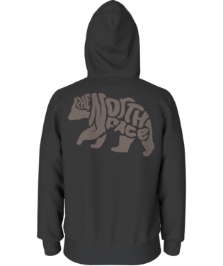 North face hoodie bear on sale