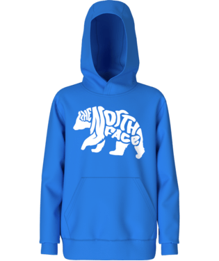Load image into Gallery viewer, Optic Blue/TNF White / Youth SM The North Face Camp Fleece Pullover Hoodie - Boy&#39;s The North Face
