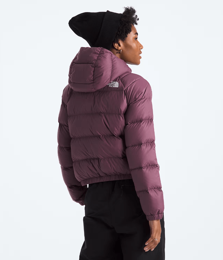 Load image into Gallery viewer, The North Face Hydrenalite Down Hoodie - Women&#39;s The North Face
