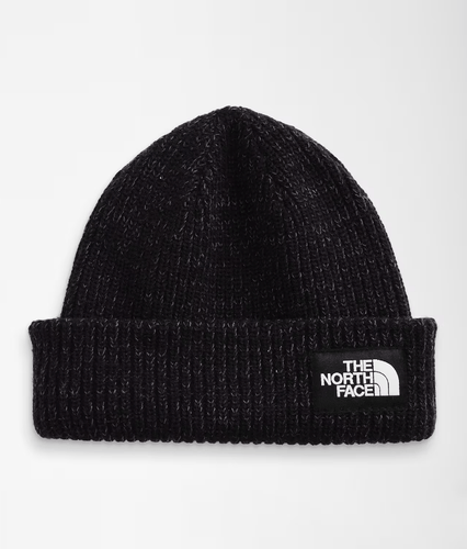 TNF Black The North Face Salty Lined Beanie The North Face