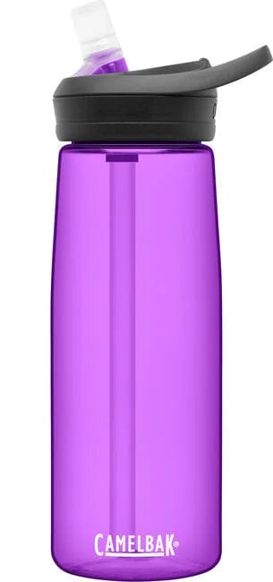 CamelBak Eddy BPA Free Hiking Camping Insulated Water Bottle Purple 20oz