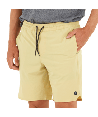 Load image into Gallery viewer, Free Fly Men&#39;s Lined Swell Shorts Free Fly
