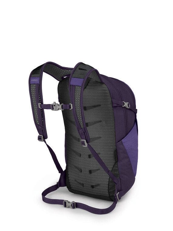Load image into Gallery viewer, Dream Purple Osprey Daylite Plus in Dream Purple OSPREY

