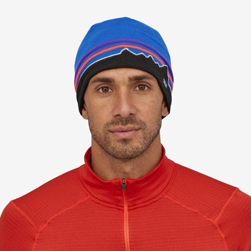 Load image into Gallery viewer, Patagonia Beanie Hat PATAGONIA INC
