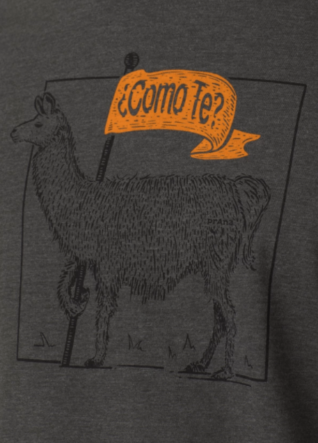 Prana Men's Como Te Llama Journeyman 2 Short Sleeve T-Shirt Prana