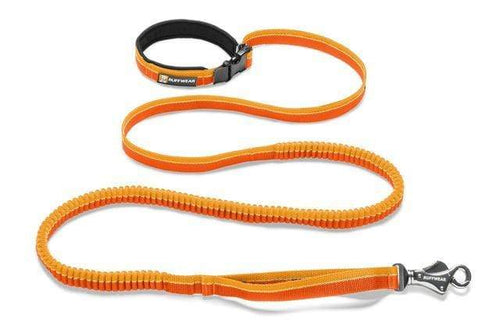 Ruffwear Dogs' Roamer™ Bungee Leash