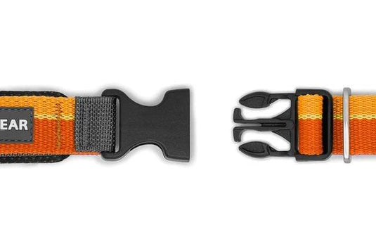 Ruffwear Dogs' Roamer™ Bungee Leash