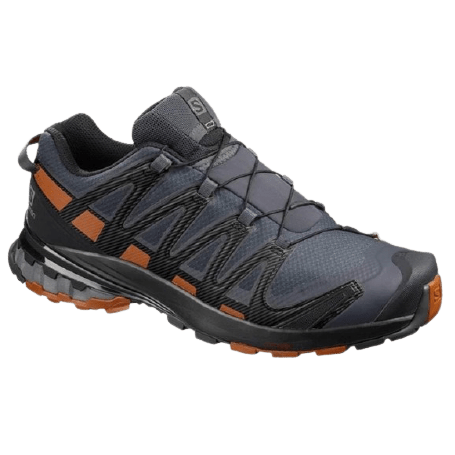 Salomon Men's Xa Pro 3D V8 GTX Shoes SALOMON USA