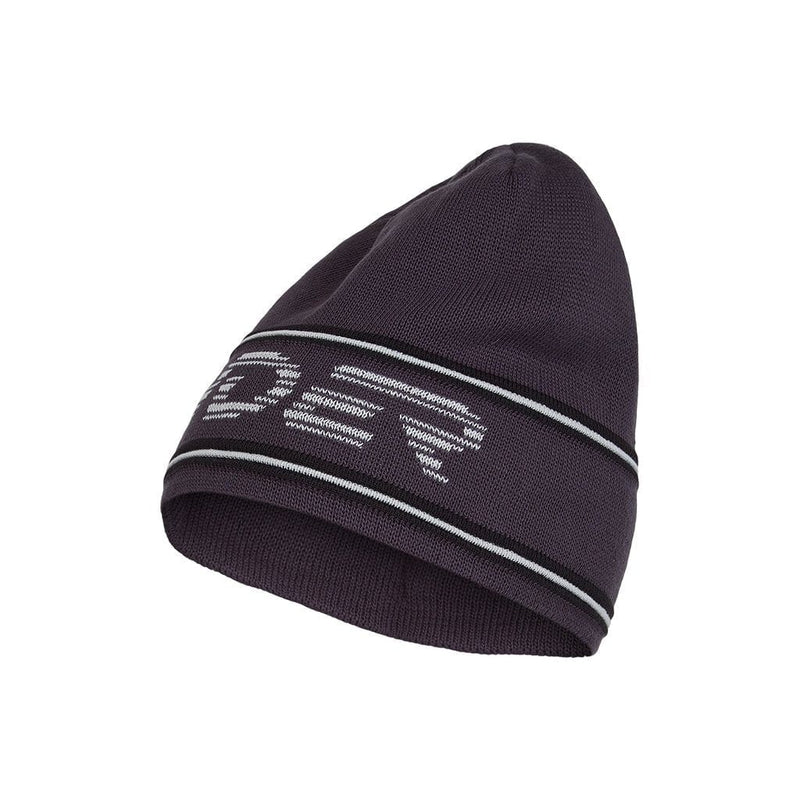 Load image into Gallery viewer, Spyder Retro Logo Beanie SPYDER ACTIVE SPORTS INC
