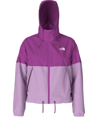 North face best sale wells cove pullover