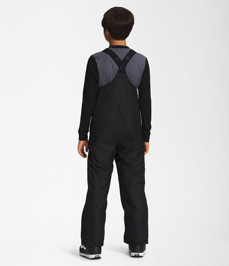 Load image into Gallery viewer, The North Face Freedom Insulated Bib - Teen&#39;s The North Face
