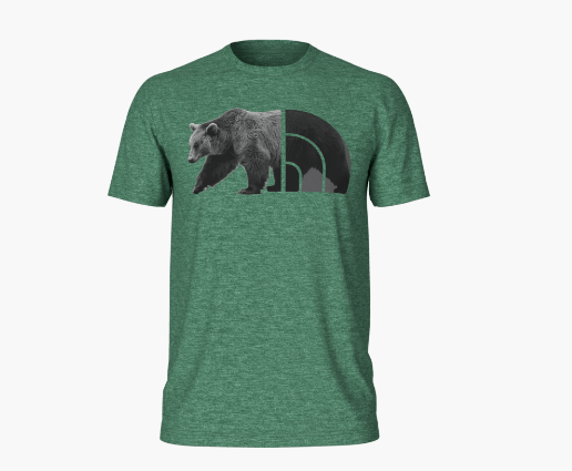 Deep Grass Green Heather / SM The North Face Shortsleeve Tri Blend Bear Tee - Men's The North Face