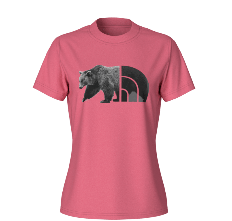 Cosmo Pink Heather / SM The North Face ShortSleeve Tri-blend Bear Tee - Women's The North Face